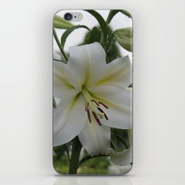 Splendid Flower iPhone Skin