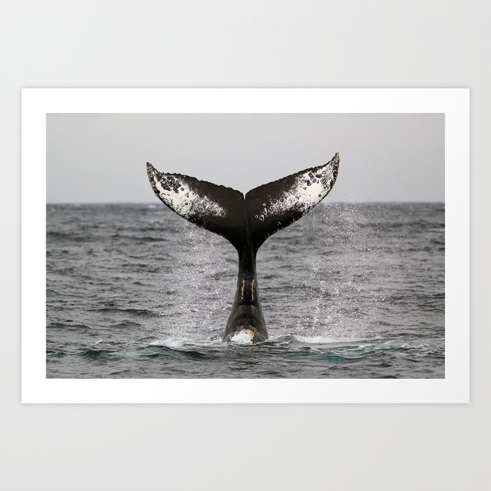 Whale Tale Art Print By Heidiingram Society6