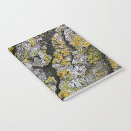 Lichen #1 Notebook