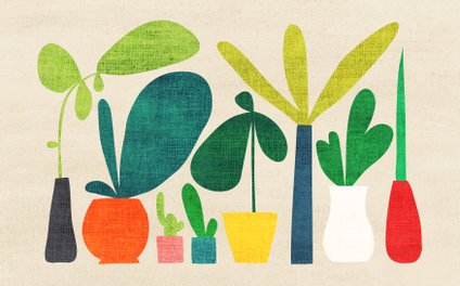 Art Print - Greens - Picomodi