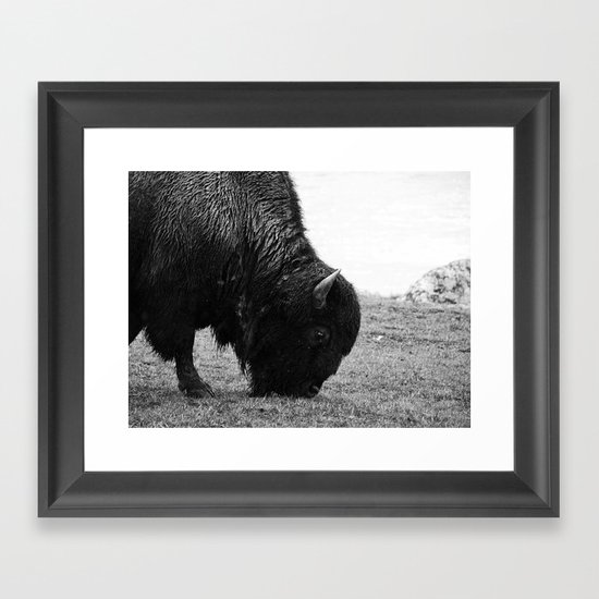Tatanka Framed Art Print