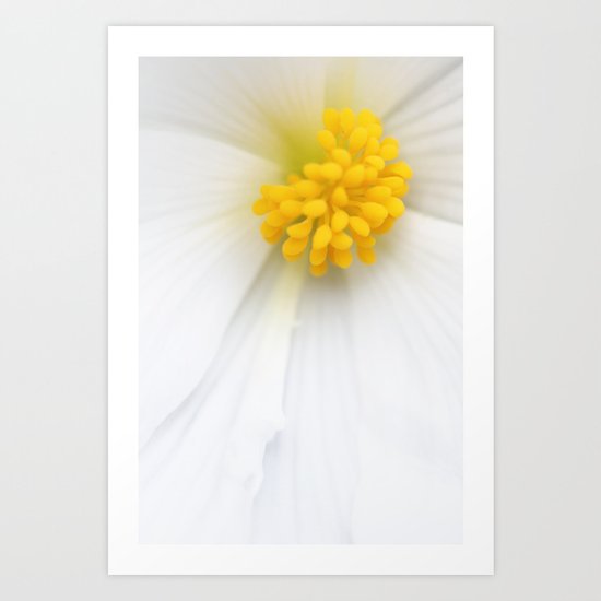 Flowers in macro range Art Print