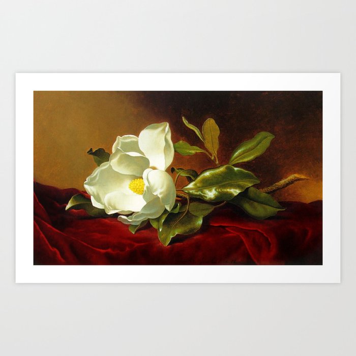 A White Magnolia on Red Velvet by Martin Johnson Head Art Print