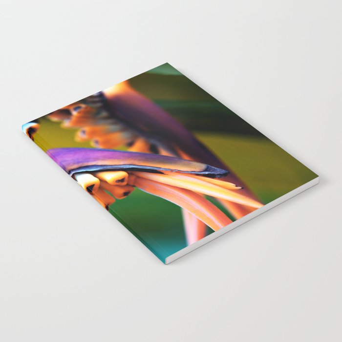 Colorful Heliconia Macro Notebook