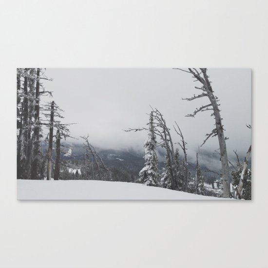 Where The Trees Die Canvas Print