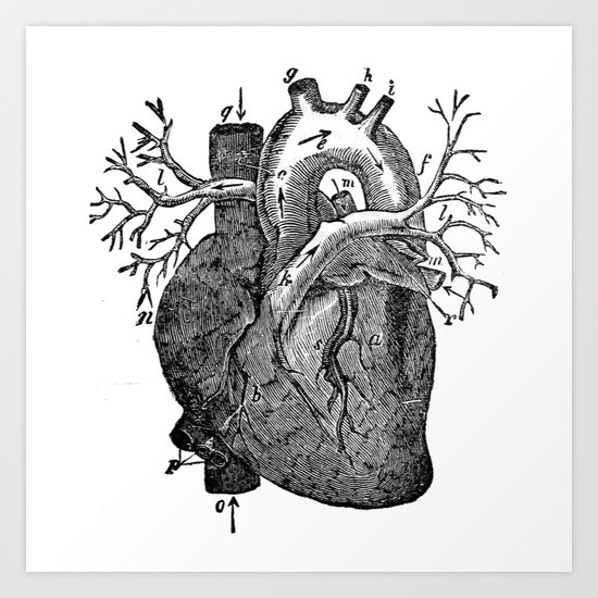 Heart Art Print