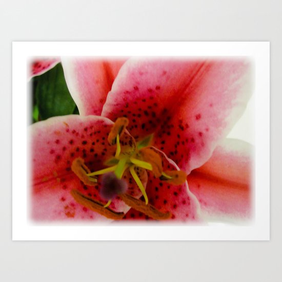 A Lily Of The Valley Art Print