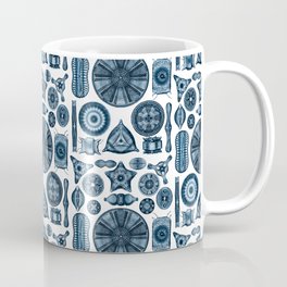 Ernst Haeckel Diatomea Diatoms in Navy Blue Mug