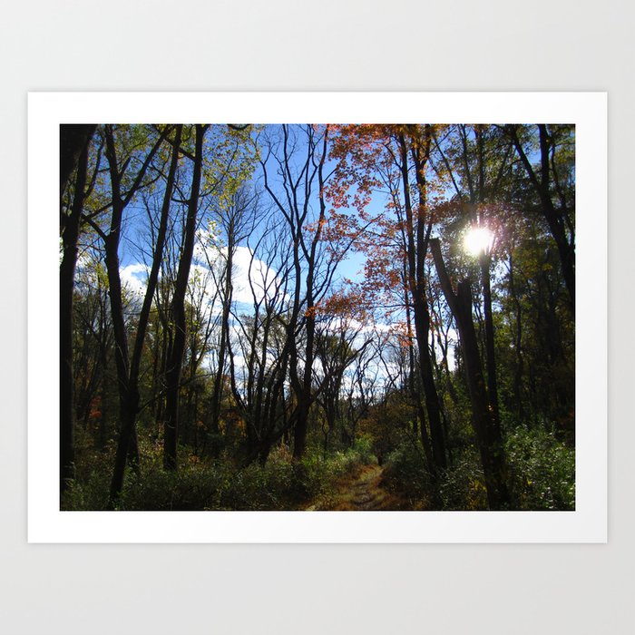 Fall Foliage, Blue Sky Art Print