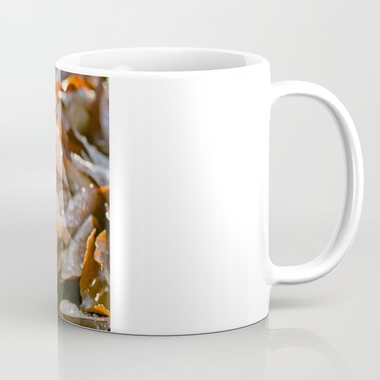 The Fallen Mug