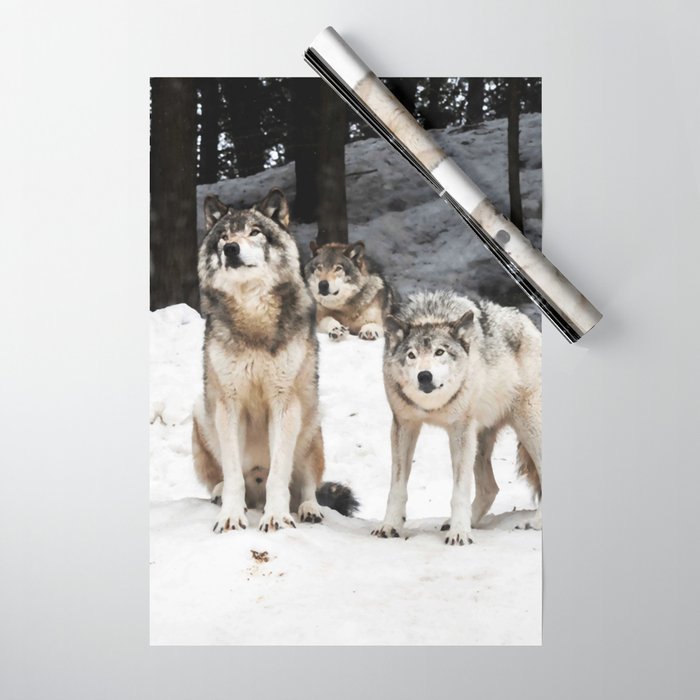 Landscape Photo Grey Wolf Gang Snowy Wrapping Paper