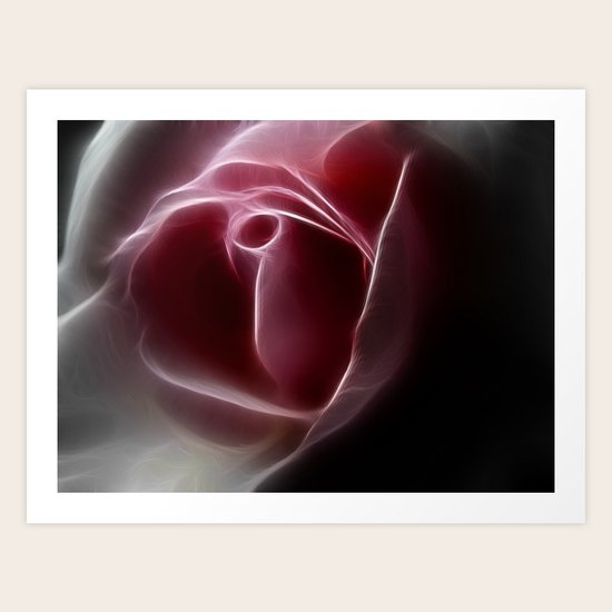Rose Art Print
