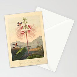 Large-Flowering Sensitive Plant (Mimosa-Grandiflora) from "The Temple of Flora," 1812 (benefitting The Nature Conservancy) Stationery Card