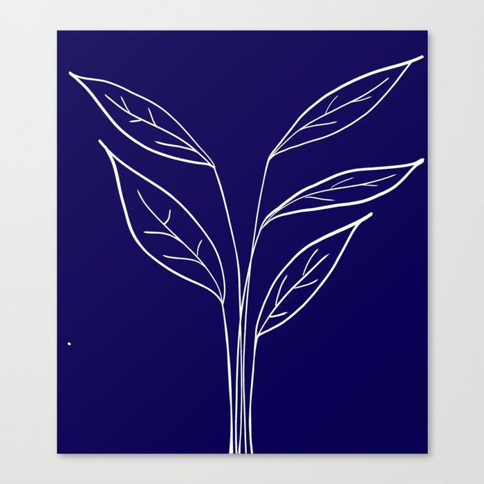 White Plant on blue Canvas Print