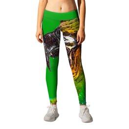 Watercolour parrot with green background Leggings