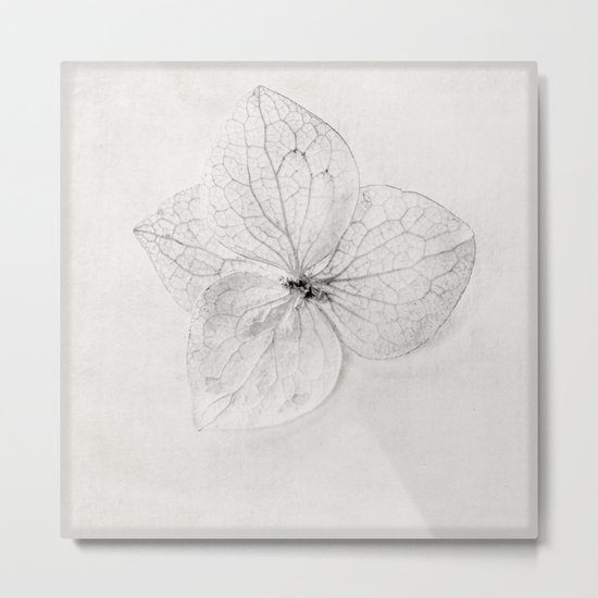 flower Metal Print