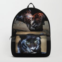 Black Leopard portrait Backpack | Animal, Mammals, Zoo, Wild, Safari, Photo, Wildlife, Blackleopard, Jungle, Digital 
