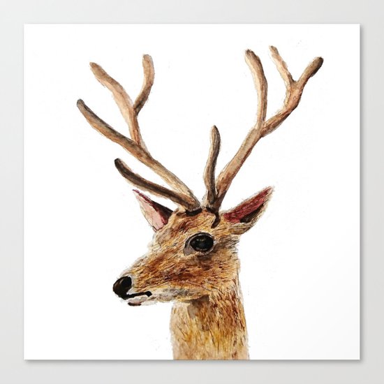 deer watercolor painting Canvas Print
