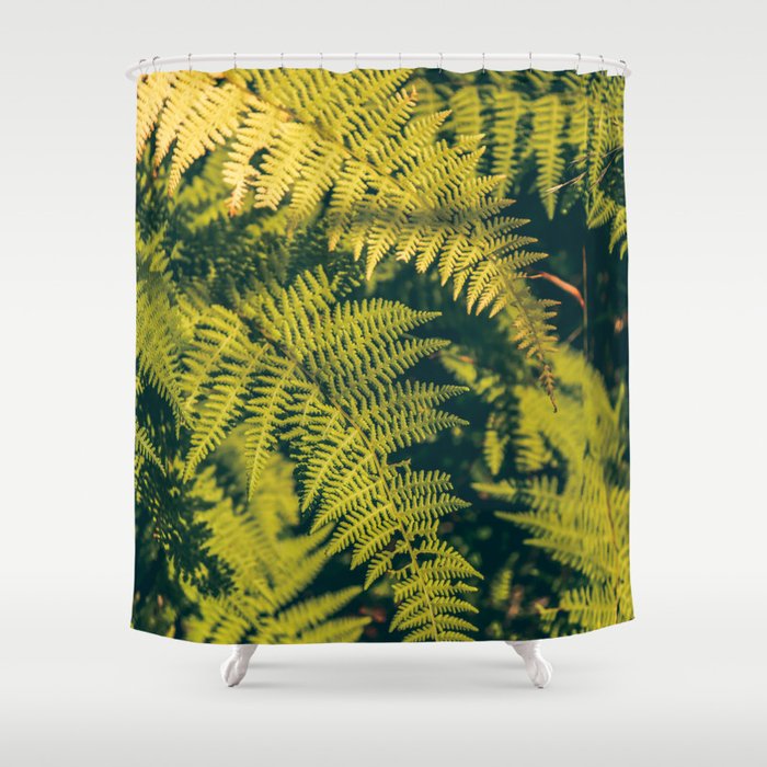 A green fern plants background with shadows.  Shower Curtain