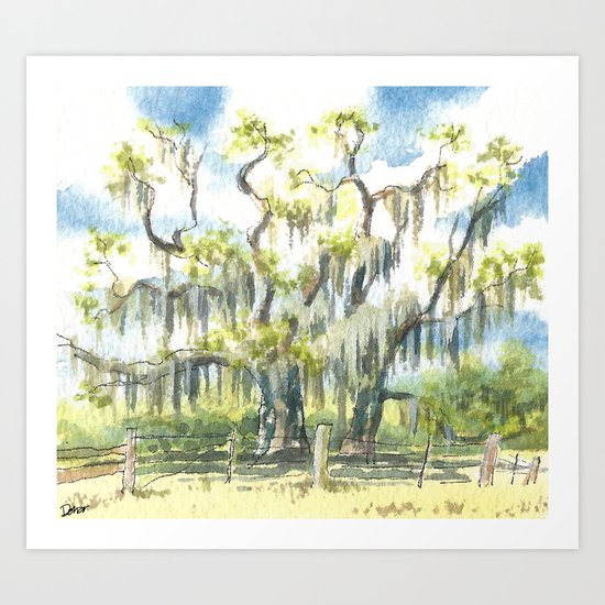 Living Oak Art Print