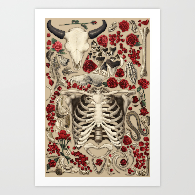 Aesthetic Taxonomies Memento Mori Art Print By Starryart Society6