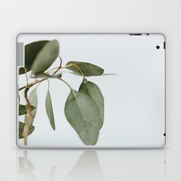 Seeded Eucalyptus | 1 Laptop & iPad Skin