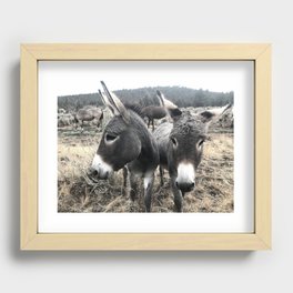 Wild Donkey Duo at Sunrise Recessed Framed Print