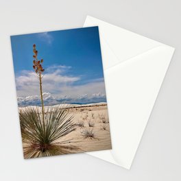 desert Stationery Cards