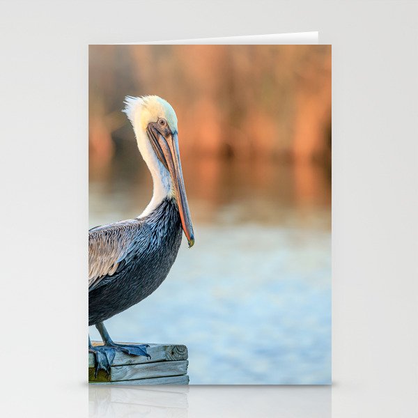 Lonesome Pelican Stationery Cards