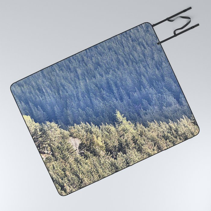 Scottish Highlands Spring Pine Tree Sunlight Effect in I Art. Picnic Blanket