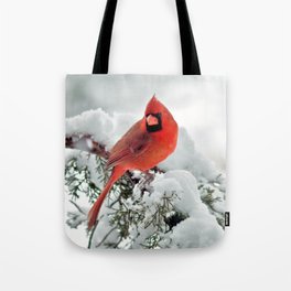 Cardinal on Snowy Branch #2 Tote Bag