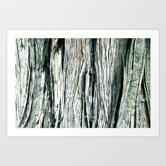 TREE BARK Art Print