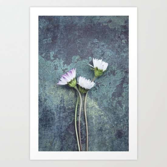 Daisies Art Print