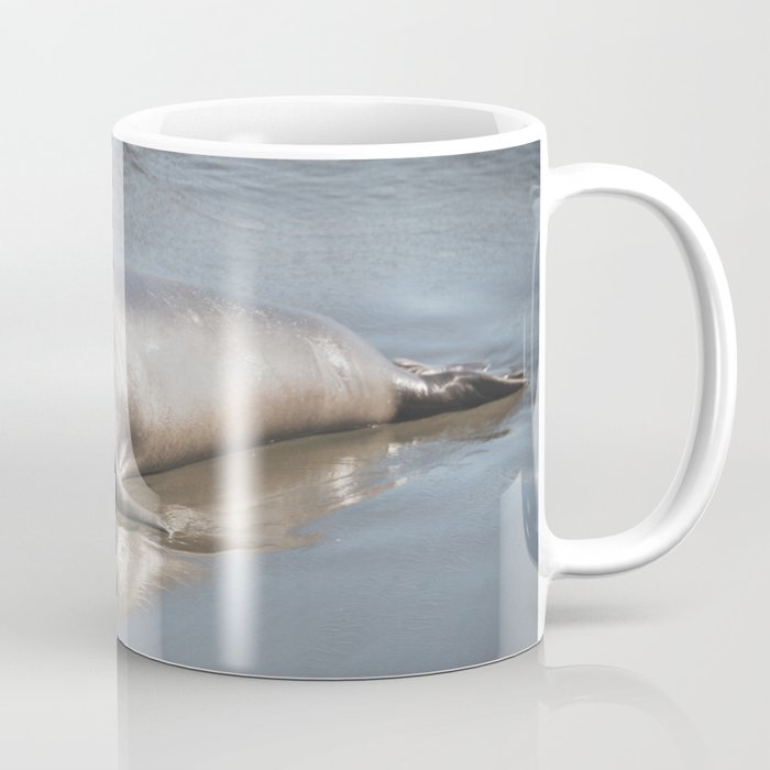 Pacific Seal Coffee Mug