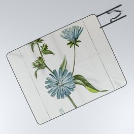 Hand Drawn Blue Chicory Picnic Blanket