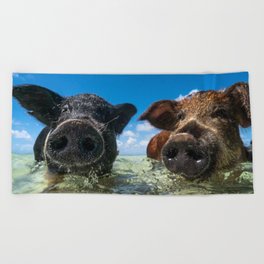 Bahamas Pigs Beach Towel