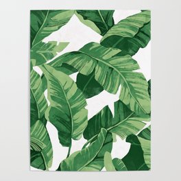 Tropical banana leaves IV Poster