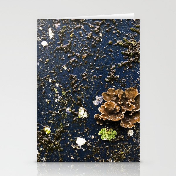 Moss & Mushroom / Time & Growth Stationery Cards