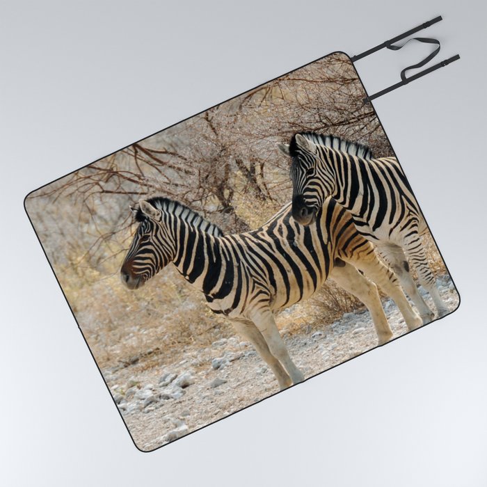 South Africa Photography - Two Zebras Standing On A Dirt Road Picnic Blanket