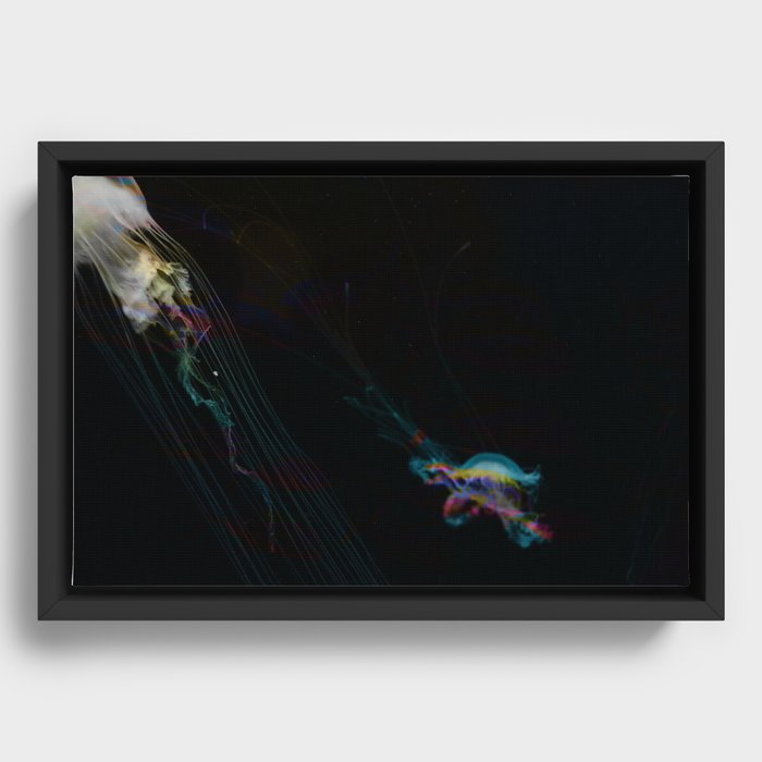 Jellyfish - Underwater Framed Canvas
