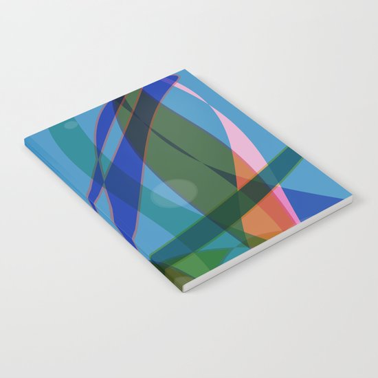 Abstract #355 Notebook