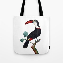 Red-Beaked Toucan Tote Bag