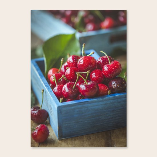 cherries Canvas Print