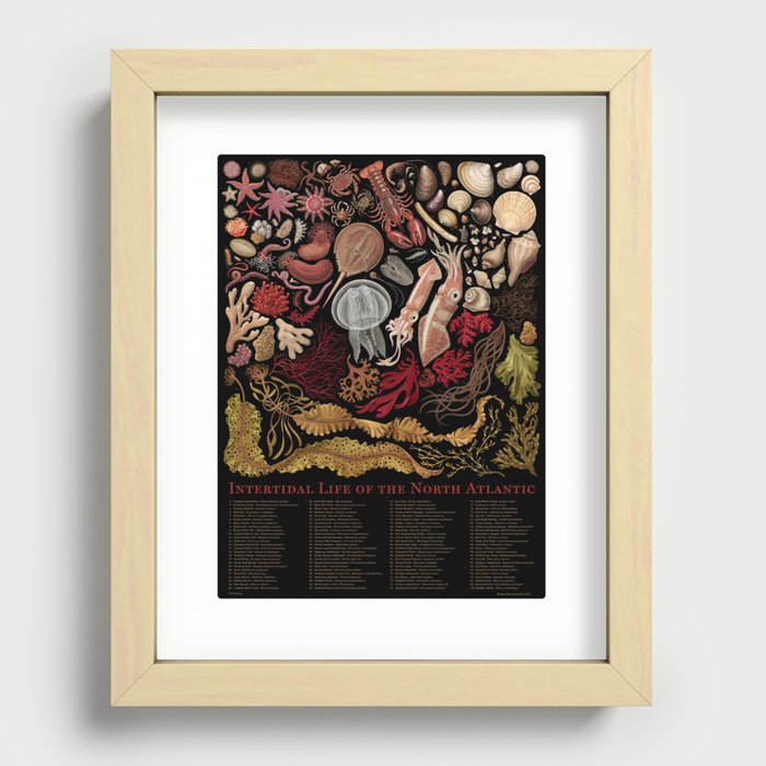 Recessed Framed Print