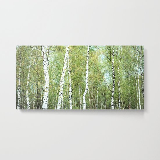 the birch forest III Metal Print