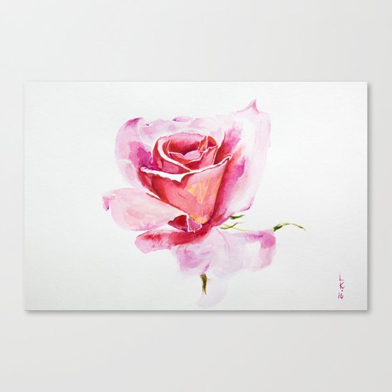 pink rose Canvas Print