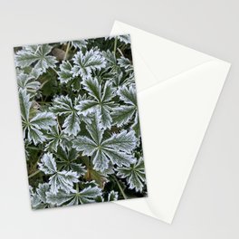 Nature Frost Stationery Card