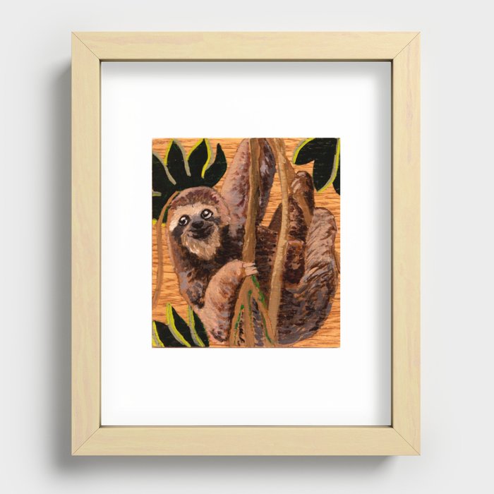 Sloth  Recessed Framed Print