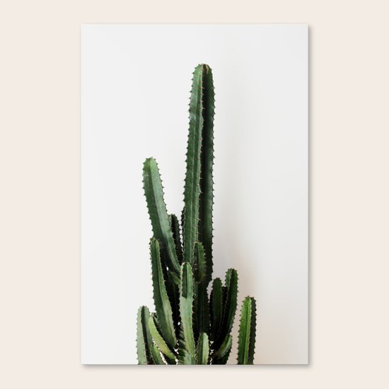 CACTUS Canvas Print