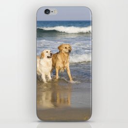 Two Dogs Sea iPhone Skin